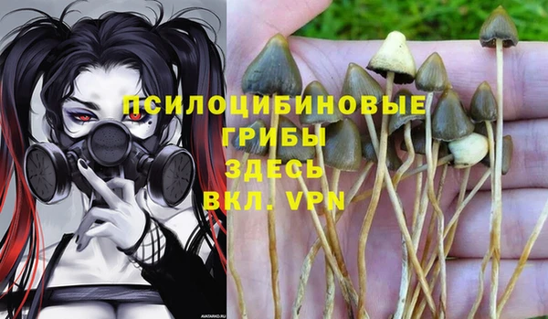 Альфа ПВП Балахна