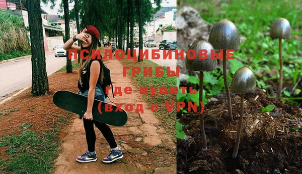 Альфа ПВП Балахна