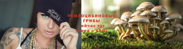 ГАЛЛЮЦИНОГЕННЫЕ ГРИБЫ Баксан