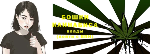 ГАЛЛЮЦИНОГЕННЫЕ ГРИБЫ Баксан