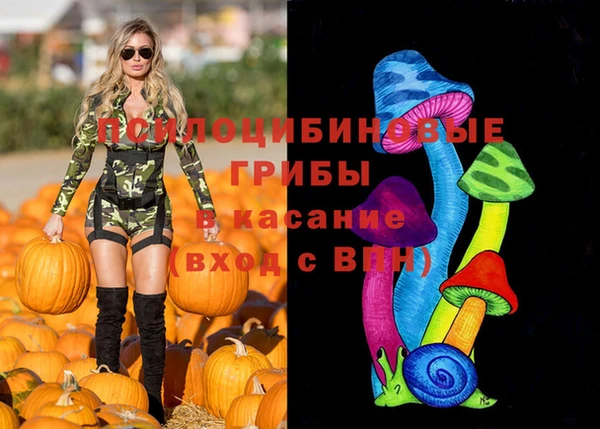 ГАЛЛЮЦИНОГЕННЫЕ ГРИБЫ Баксан