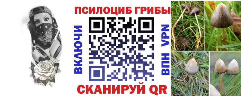 Галлюциногенные грибы Psilocybe  Купить где  Слободской 